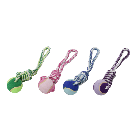 Picture of Pet games Ball with a rope
