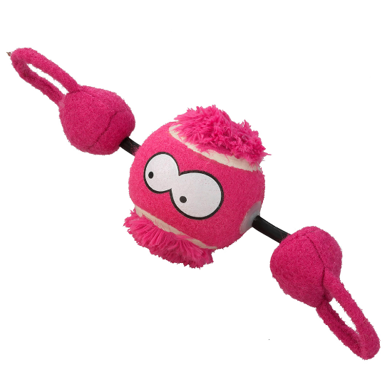 Picture of Pet games Ball with a rope