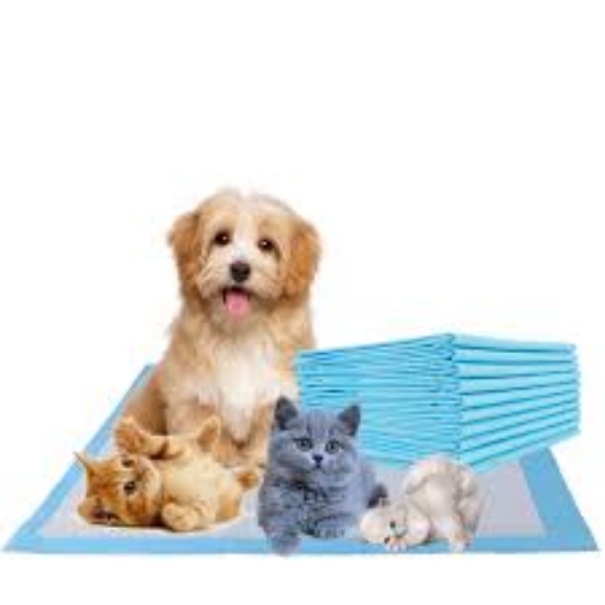 Picture of Taining Pads for Pets Large 60*60cm